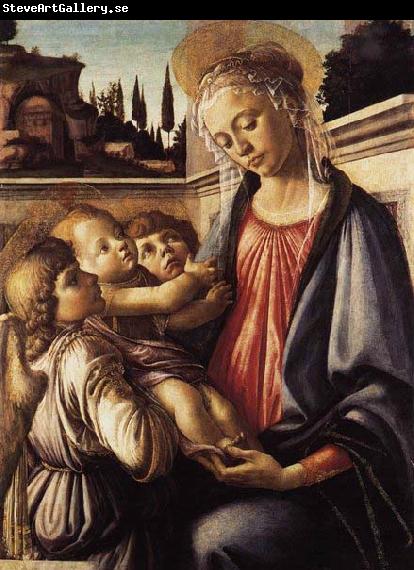 Sandro Botticelli Madonna and Child and Two Angels